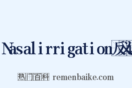 Nasalirrigation反义词是什么意思的图片